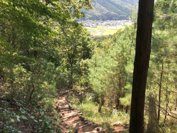 表米神社登山道
